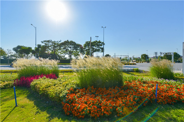 佛山西江產(chǎn)業(yè)新城景觀設(shè)計(jì)