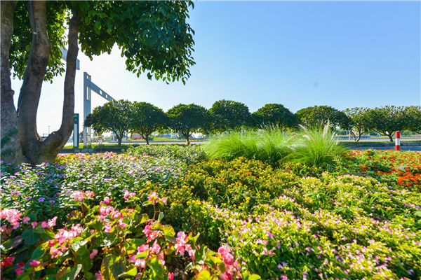 佛山西江產(chǎn)業(yè)新城景觀設(shè)計(jì)