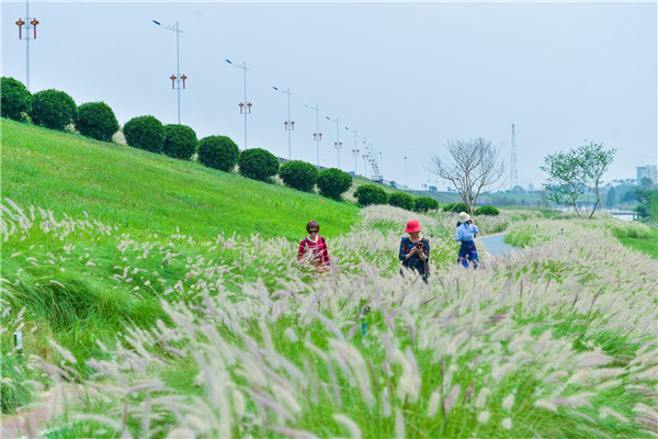 佛山西江產(chǎn)業(yè)新城景觀設(shè)計(jì)