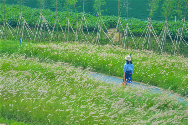 佛山西江產(chǎn)業(yè)新城景觀設(shè)計(jì)