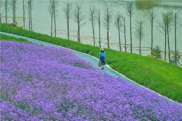 佛山西江產(chǎn)業(yè)新城景觀設(shè)計(jì)