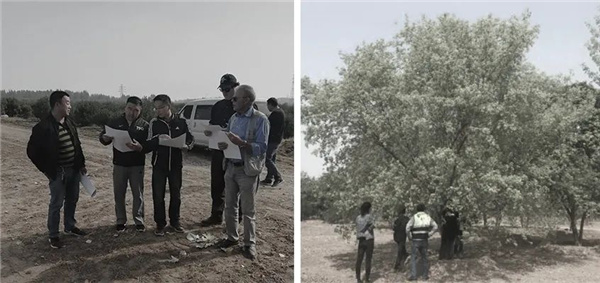 順景園林丨北京環(huán)球度假區(qū)景觀