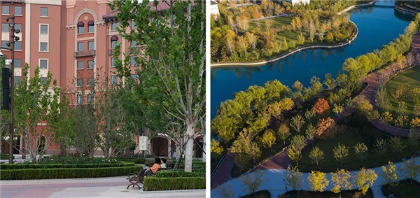 順景園林丨北京環(huán)球度假區(qū)景觀