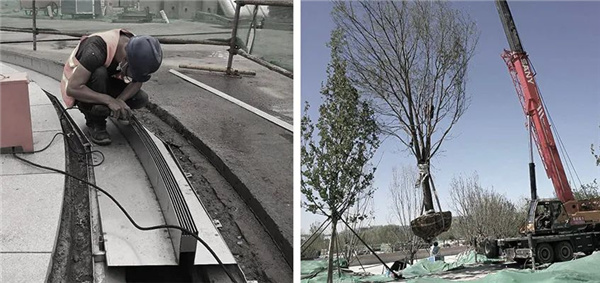 順景園林丨北京環(huán)球度假區(qū)景觀