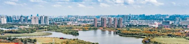 李翔寧等專家解成都環(huán)城生態(tài)公園