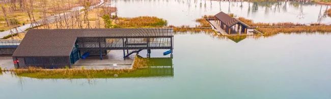 李翔寧等專家解成都環(huán)城生態(tài)公園