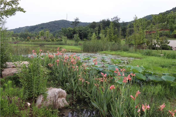 盤龍山景觀綠化提升工程設(shè)計(jì)施工總承包(EPC)
