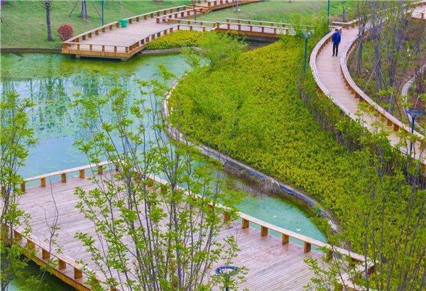 盤龍山景觀綠化提升工程設(shè)計(jì)施工總承包(EPC)