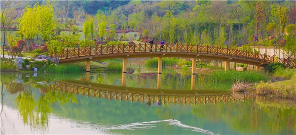 盤龍山景觀綠化提升工程設(shè)計(jì)施工總承包(EPC)