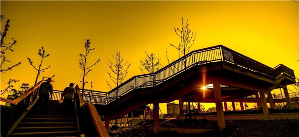 盤龍山景觀綠化提升工程設(shè)計(jì)施工總承包(EPC)