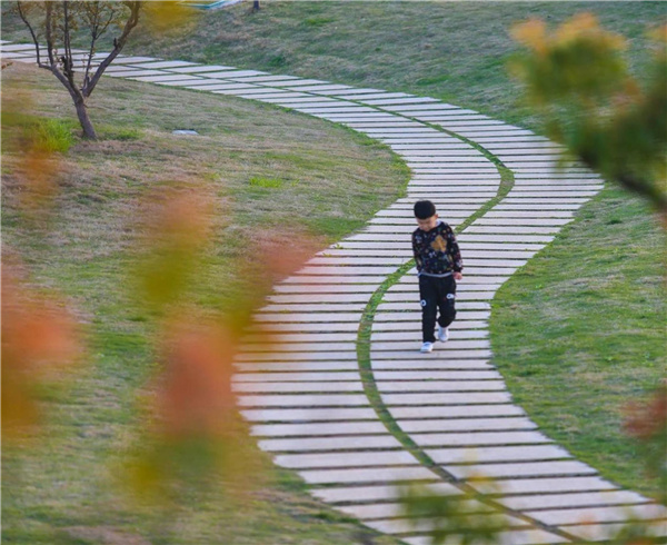 盤龍山景觀綠化提升工程設(shè)計(jì)施工總承包(EPC)