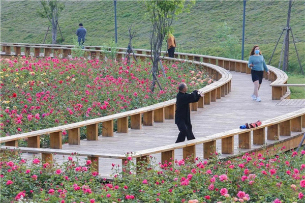 盤龍山景觀綠化提升工程設(shè)計(jì)施工總承包(EPC)