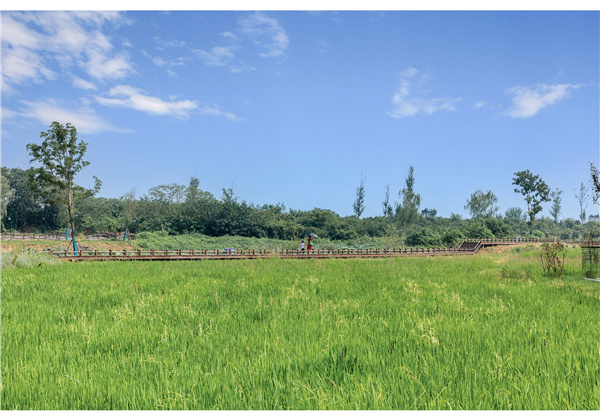 蜀山鄉(xiāng)村振興示范區(qū)元塘、大嶺南及小嶺南村民組人居環(huán)境綜合整治項目