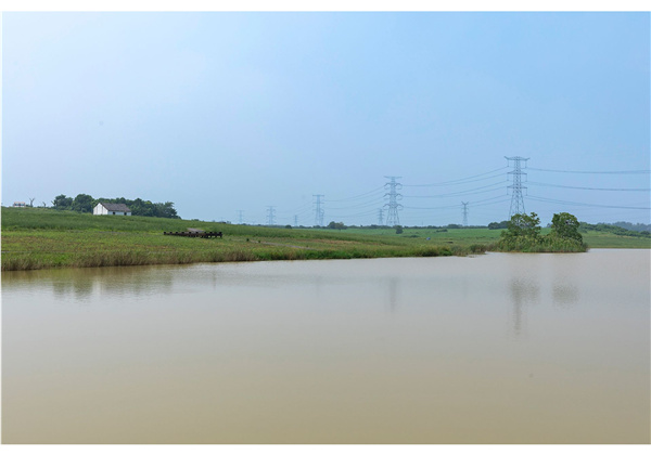 蜀山鄉(xiāng)村振興示范區(qū)元塘、大嶺南及小嶺南村民組人居環(huán)境綜合整治項目