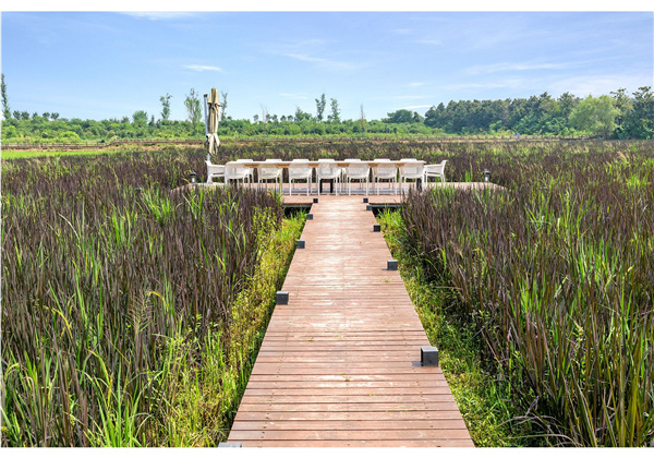 蜀山鄉(xiāng)村振興示范區(qū)元塘、大嶺南及小嶺南村民組人居環(huán)境綜合整治項目