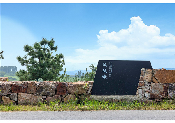 蜀山鄉(xiāng)村振興示范區(qū)元塘、大嶺南及小嶺南村民組人居環(huán)境綜合整治項目