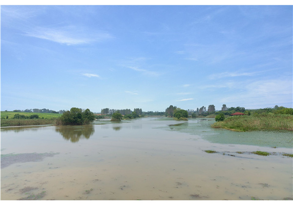 蜀山鄉(xiāng)村振興示范區(qū)元塘、大嶺南及小嶺南村民組人居環(huán)境綜合整治項目