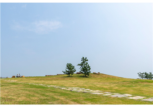 蜀山鄉(xiāng)村振興示范區(qū)元塘、大嶺南及小嶺南村民組人居環(huán)境綜合整治項目