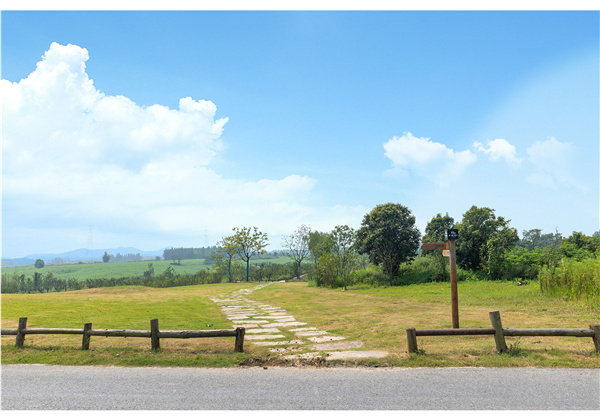 蜀山鄉(xiāng)村振興示范區(qū)元塘、大嶺南及小嶺南村民組人居環(huán)境綜合整治項目