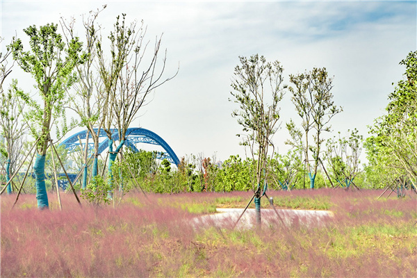 武漢生態環境設計研究院丨漢江漢陽江灘(琴斷口閘至長豐橋段及琴南段) 防洪及環境綜合整治工程