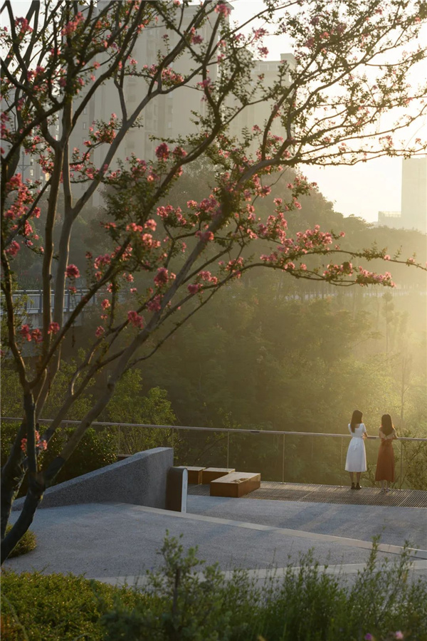 ZD筑地景觀丨昕暉中航·璟熙