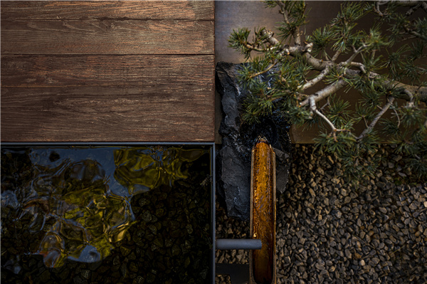 甲南園林丨龍灣某別墅花園設計