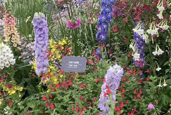 一起打卡《畫中白云》!廣州園博會即將與市民“云見面”