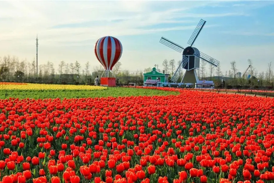 吳必虎:文旅發展要適應“后新冠”