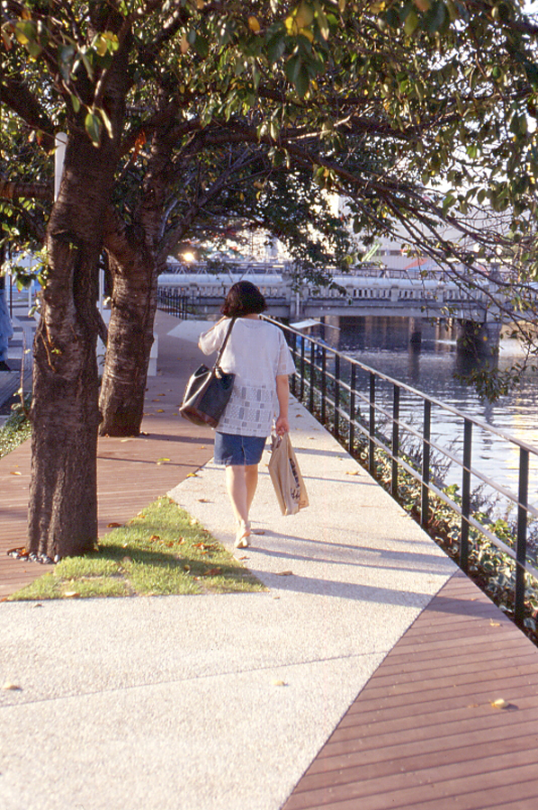 日本鳳咨詢株式會社與中國風景園林網達成戰略合作
