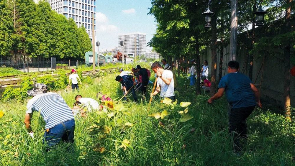 公園成了城市建設的新指標，它為什么重要？