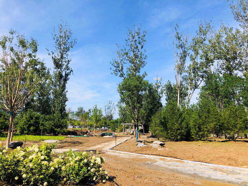 奧北森林公園一期10月開園