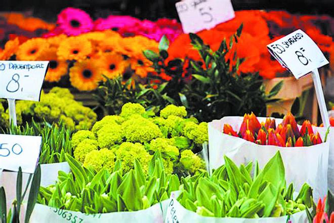 成都世園會，看園林也看“花經濟”