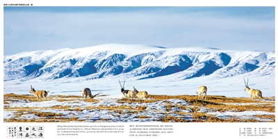 中國正在建設全世界最大國家公園體系