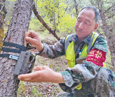 青海推動(dòng)共建青藏高原國(guó)家公園群