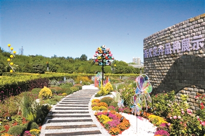 弘揚菊花文化 展現“京花”魅力