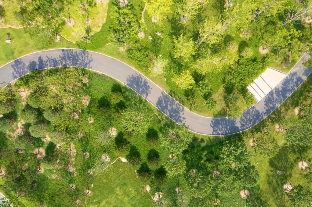 合肥:努力把園博園建成精品園博會辦出精彩