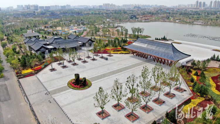 河北滄州:大運(yùn)河畔園林美景期待激情綻放