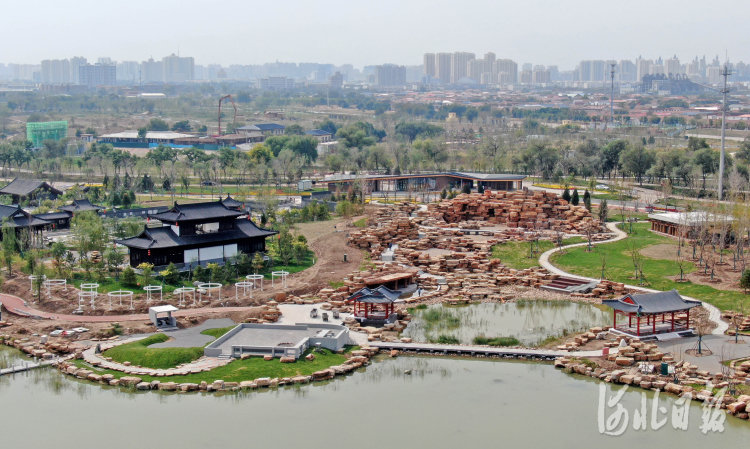 河北滄州:大運(yùn)河畔園林美景期待激情綻放