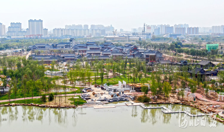 河北滄州:大運(yùn)河畔園林美景期待激情綻放