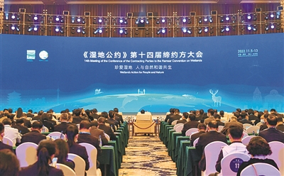 2022年世界林草十大關(guān)注熱點(diǎn)
