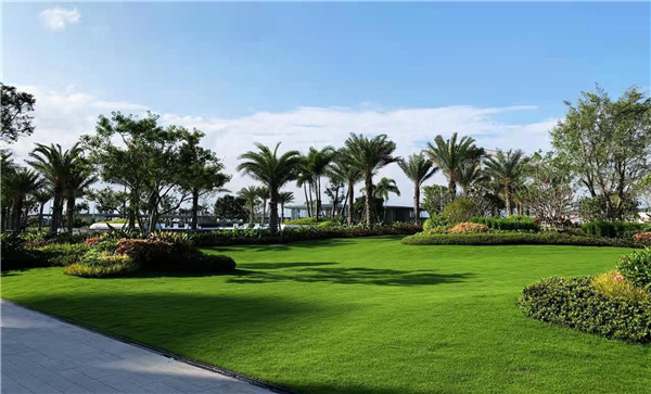 海南龍嶺清水灣IN+直播小鎮項目園林景觀設計