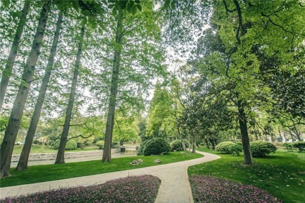 園冶杯獲獎作品丨合肥逍遙津公園提升改造
