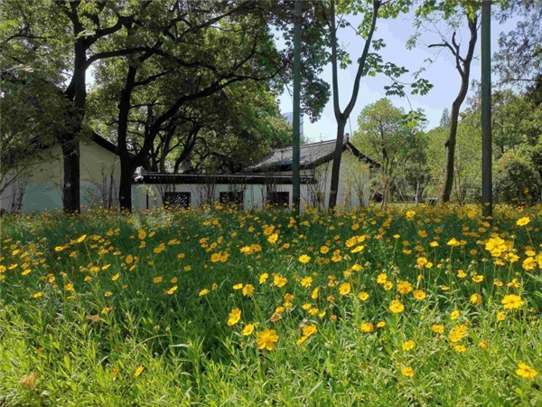 園冶杯獲獎作品丨合肥逍遙津公園提升改造
