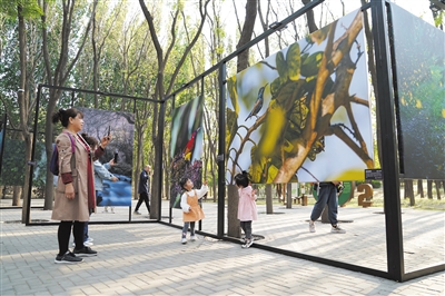 北京朝陽打造“公園城市示范區(qū)”