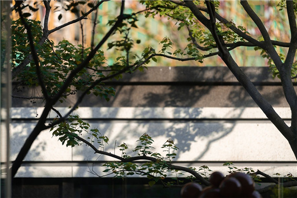 園冶杯參賽作品丨成都越秀·天樾云錦