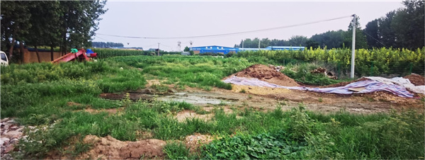 園冶杯參賽作品丨老冢鎮(zhèn)“記憶中的鄉(xiāng)村”