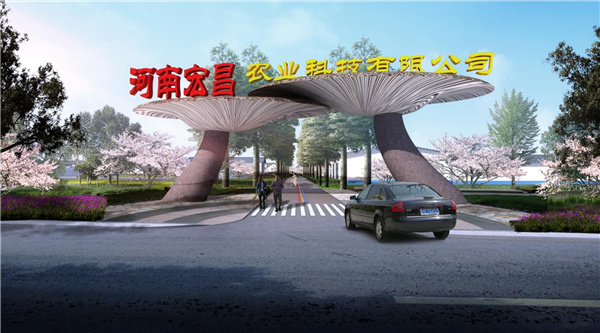 園冶杯參賽作品丨老冢鎮(zhèn)“記憶中的鄉(xiāng)村”