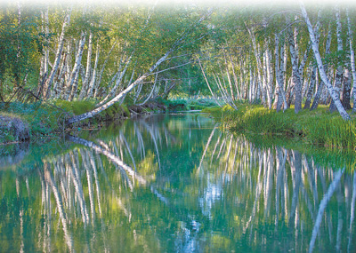 搭建文旅新場景:阿勒泰,牧歌聲里看草原