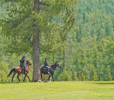 搭建文旅新場景:阿勒泰,牧歌聲里看草原