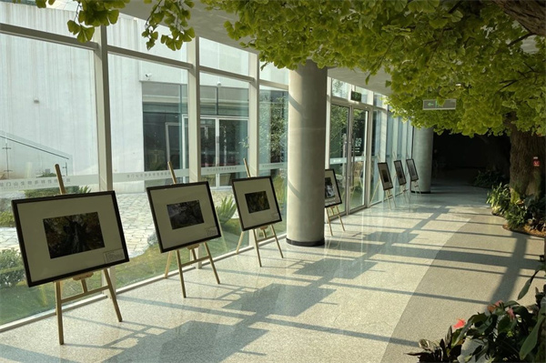 成都世園會邀八方來客中秋共赴“花”約!